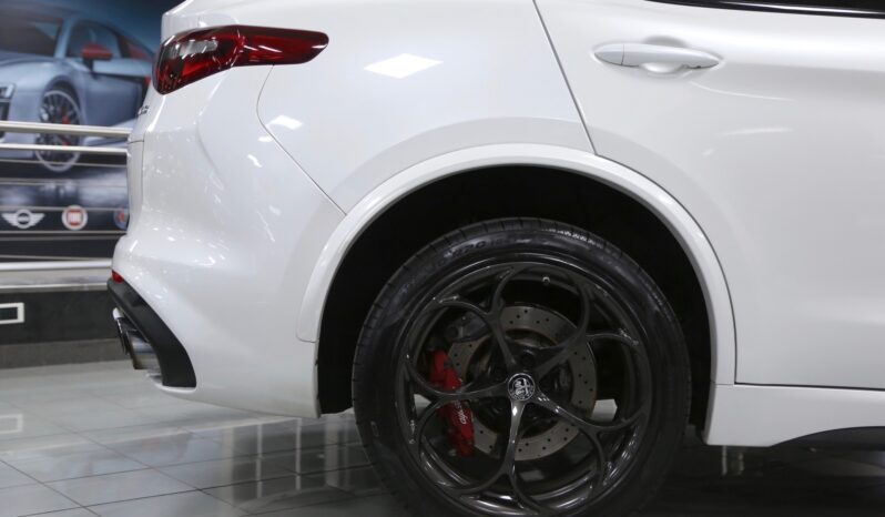 Alfa Romeo Stelvio Quadrifoglio 2.9 Bi-Turbo V6 510 CV AT8 pieno