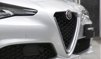 Alfa Romeo Giulia 2.2 Turbodiesel 160 cv AT8 Rosso Edizione pieno