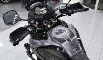 Suzuki V-Strom 1000 pieno