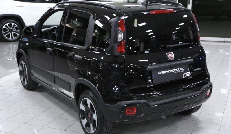 Fiat Panda Cross 1.0 FireFly S&S Hybrid_2024 pieno