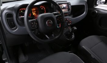 Fiat Panda Cross 1.0 FireFly S&S Hybrid_2024 pieno