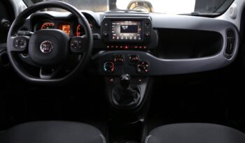 Fiat Panda Cross 1.0 FireFly S&S Hybrid_2024 pieno